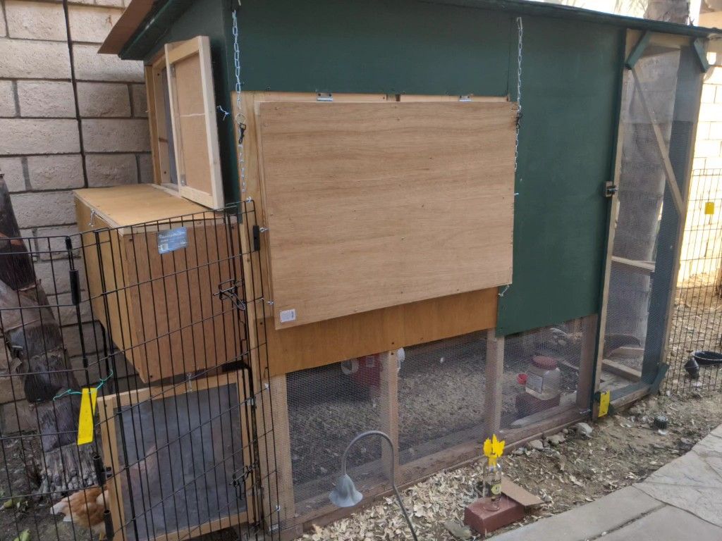 Newly built chicken coop