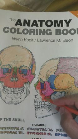 The anatomy coloring book 4th edition