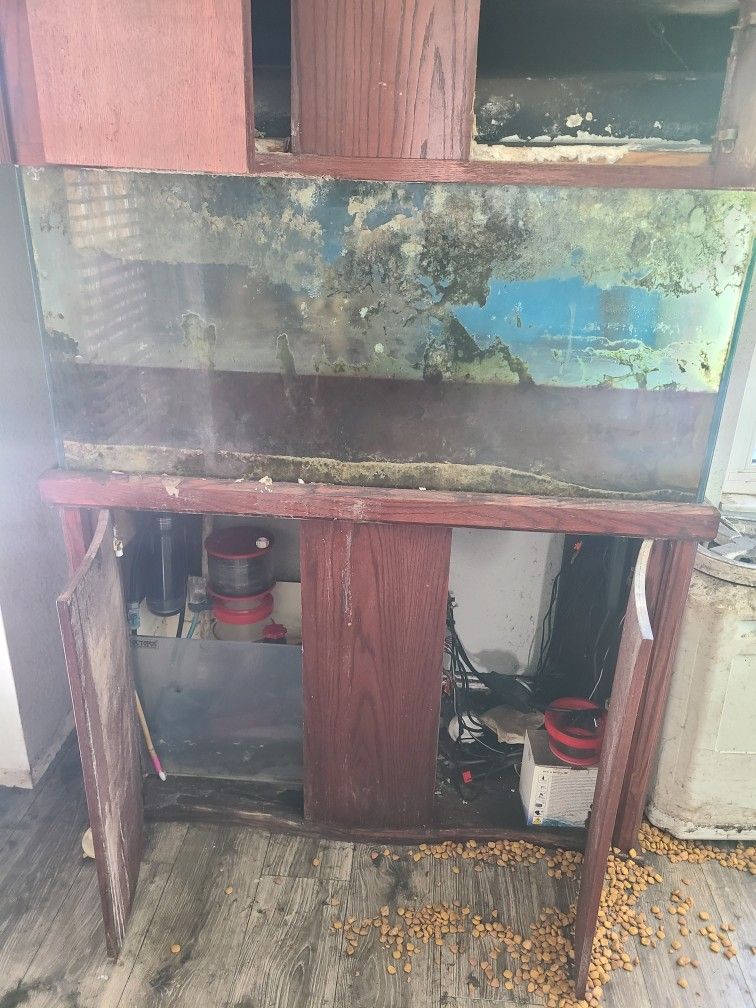 Salt Water Fish Tank 90 Gallon