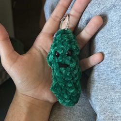 Emotional Support Pickles 