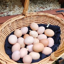 Chicken Eggs 