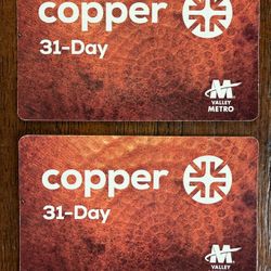 Valley Metro 31 Day Pass