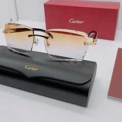 Cartier Frame Sunglasses Buffalo Horn