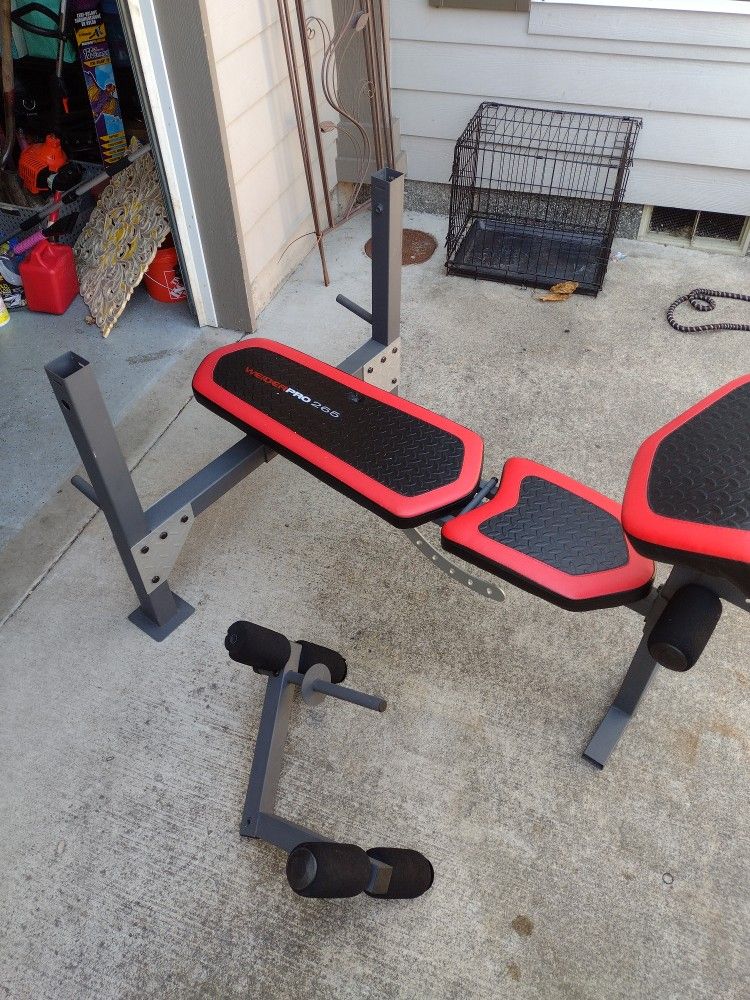 Olympic Bench Press