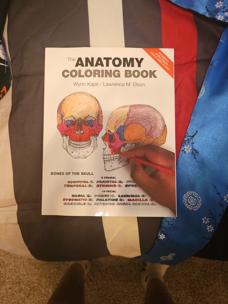 Anatomy And PHYSIOLOGY Coloring Book