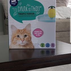 Whisker City.  Pineapple Cat Water Fountain 
