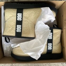 Brand New Uggs Boots Size 6