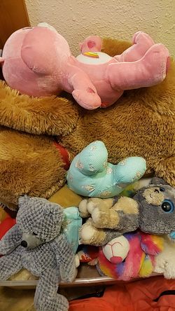 Like new stuffed animals always been in display