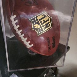 Official Game Football Pigskin