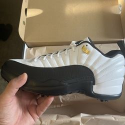 Jordan 12 Low G