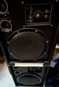 2 Ross Systems Model R-12PM 12 Inch Passive Monitor Pa Speakers