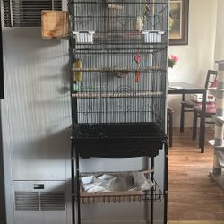 Bird,cage, And Toys 