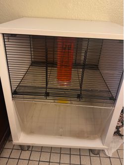 Hámsters cage