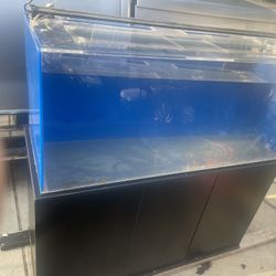 Acrylic Fish Tank 75 Gallons
