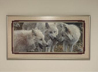 Carl Brenders - Tundra Summit Arctic Wolves