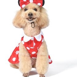 Disney for Pets Minnie Mouse Halloween Costume for Dogs - Extra Large | Disney Halloween Dog Costumes, Funny Pet Costumes | Officially Licensed Disney