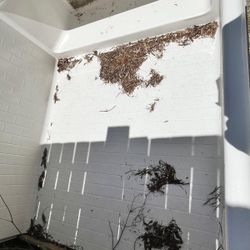 Brand   NEW  bath Tub