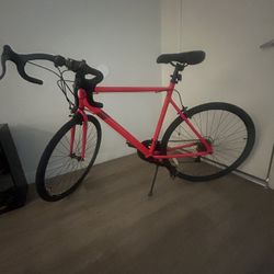 XL Road Bike 