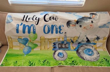 Holy Cow I’m One birthday decor