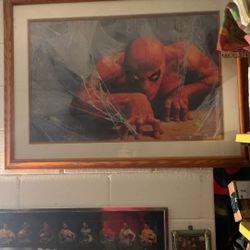 Spider-Man picture $45 pick up only