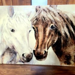 Beautiful Horse Mustang Canvas Portrait Equestrian