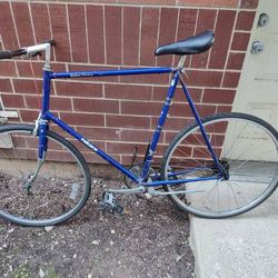 Large size Takara import single speed road bike w flatbar/ freewheel