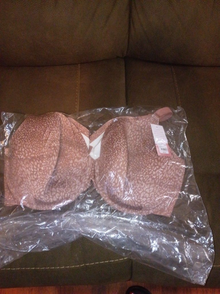 New Lane Bryant Clinique Bra