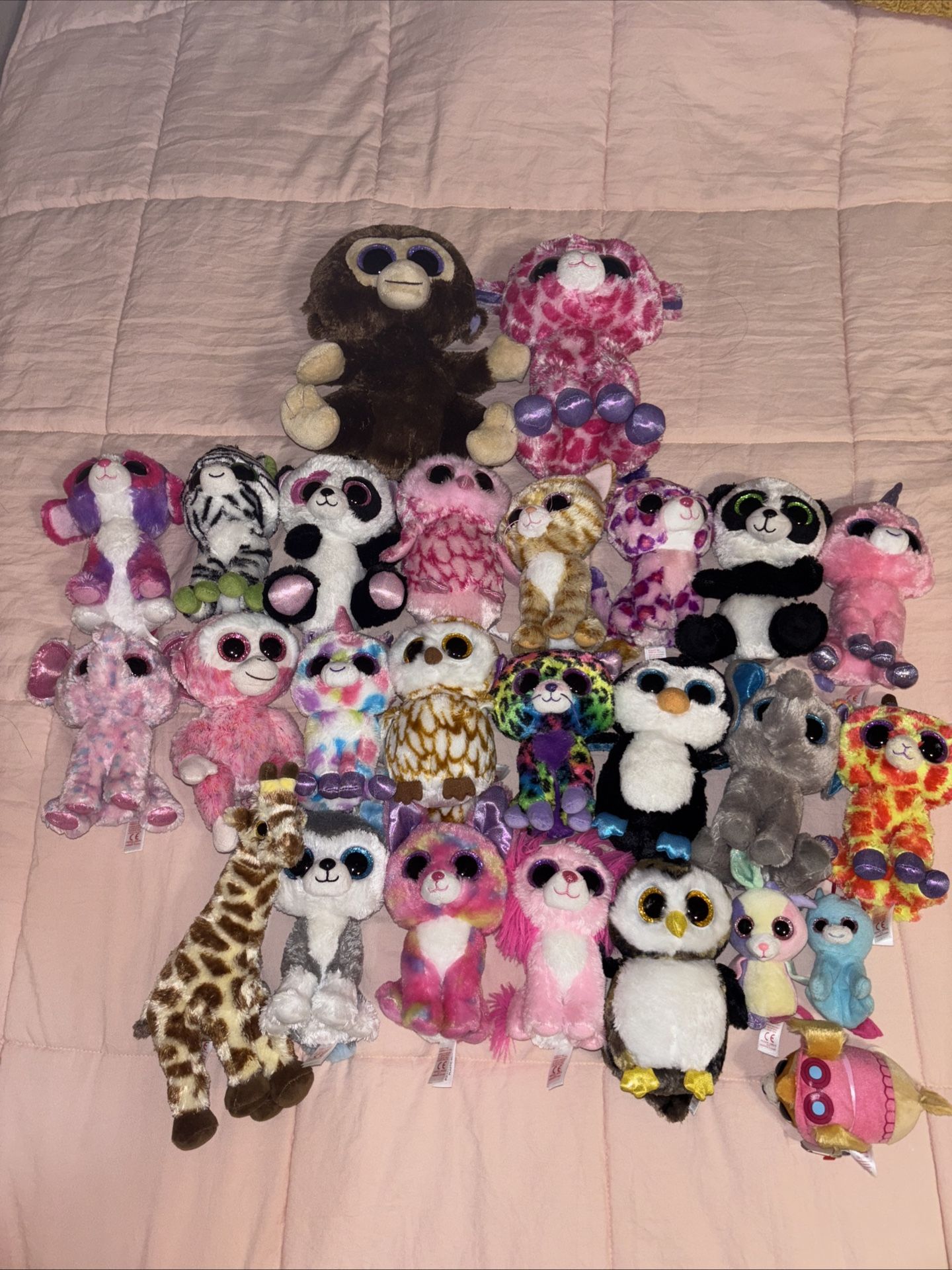 Rare Beanie Boos BUNDLE
