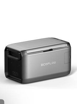 New Ecoflow car Refrigerator