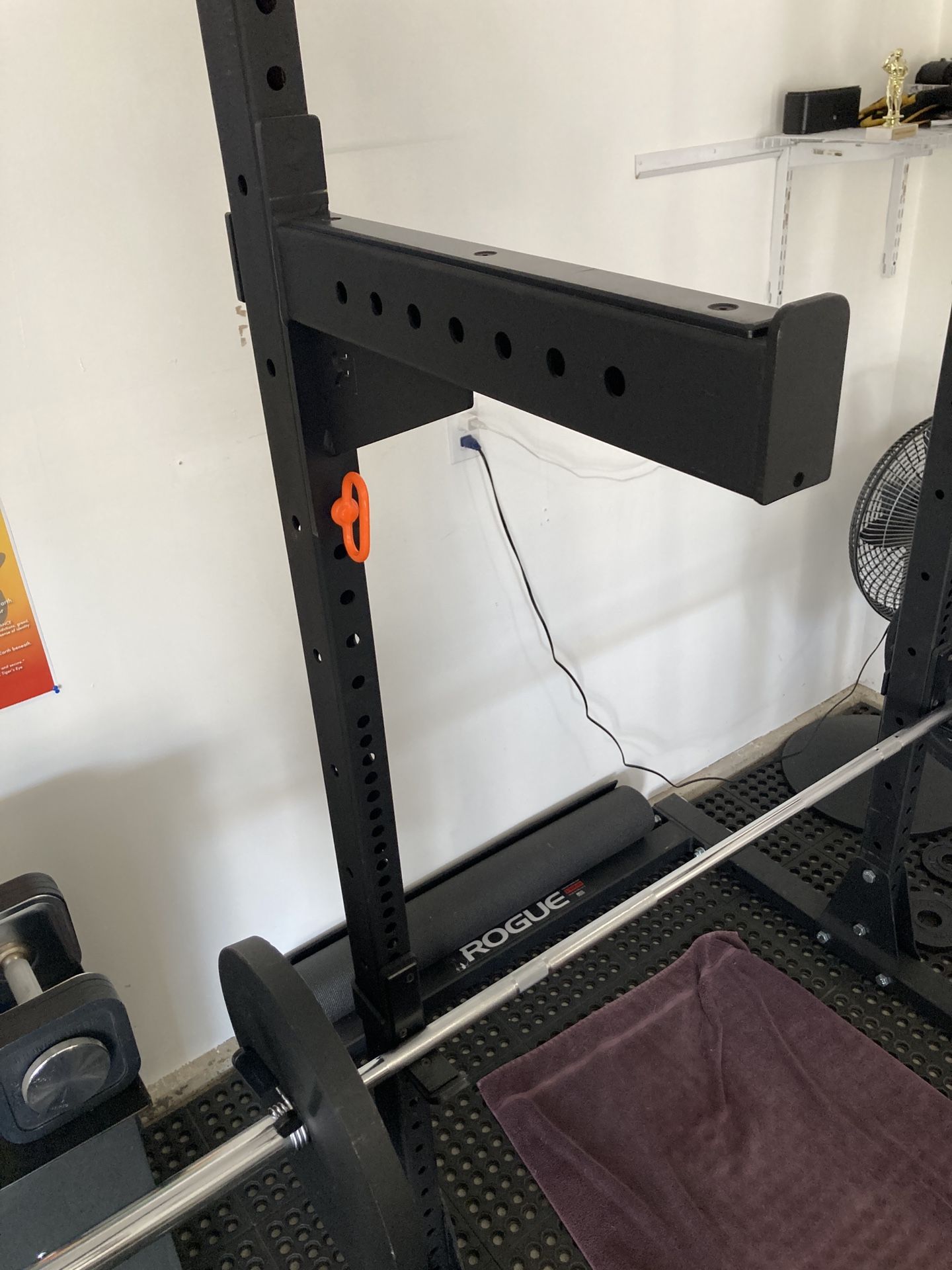 Rogue Safety Spotter Arms