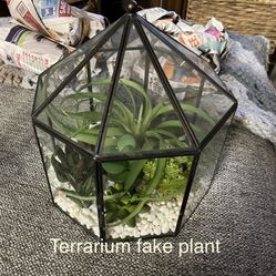 Terrarium Plant Decor 