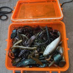 some fishing soft bites 