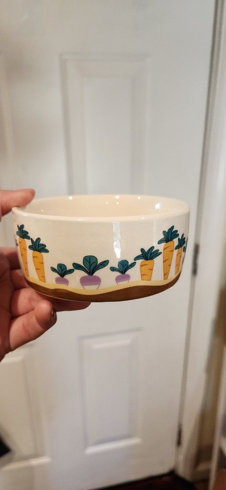 Pet Bowl