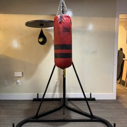 Punching Bag