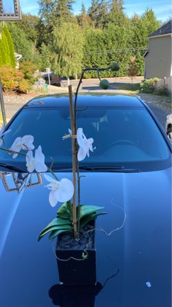 Plastic flower