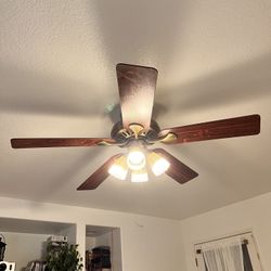 Ceiling Fan with Lights
