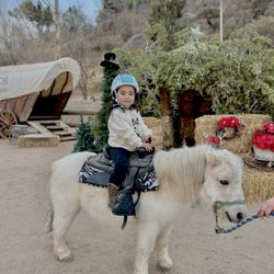 Horse Saddle  For Kids Or Adults