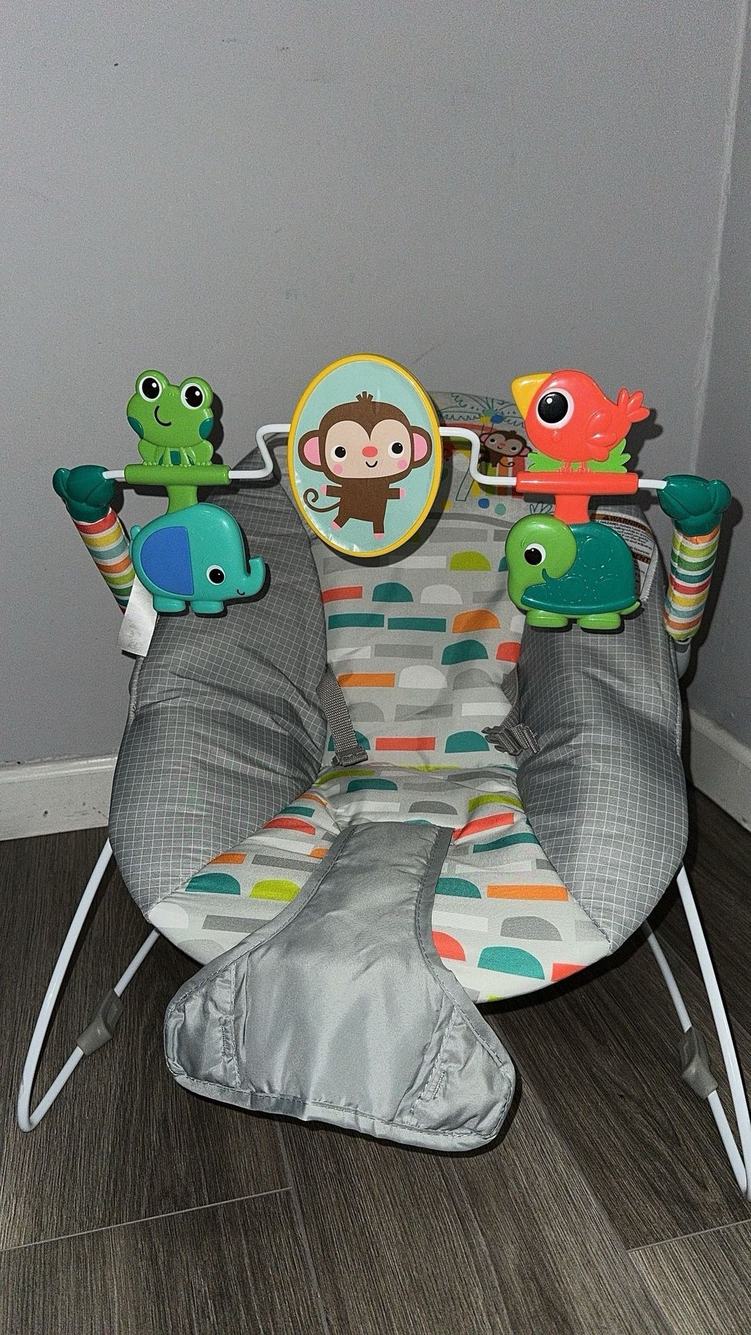 Baby Bouncer