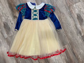 Snow White Princess costume dress