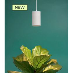 💡 🌱 Hanging Grow Light & Wall Mount