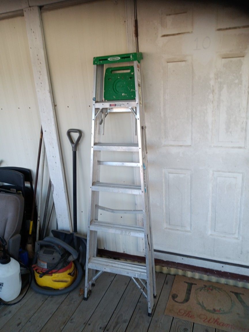 6 Foot Ladder