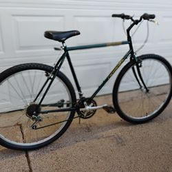 Specialized Crossroads Cruz