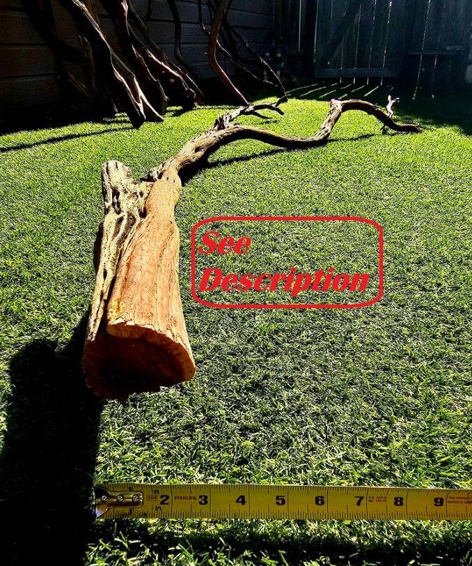Manzanita Wood (Trunk #4) Aquarium / Terrarium / Bird Perch / Art & Home Decor / Fish Tank