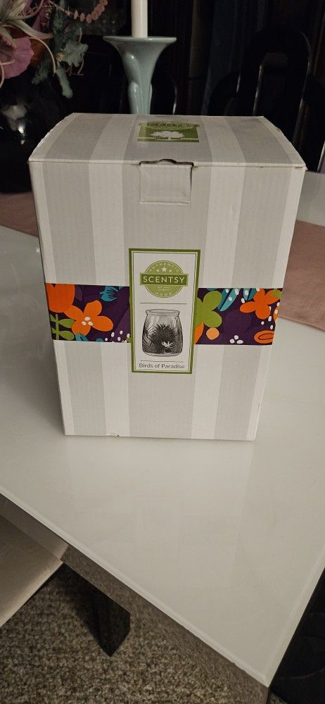 Electric wax warmer