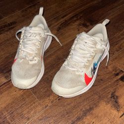 Nike Pegasus 40s  premium White Multi Color 