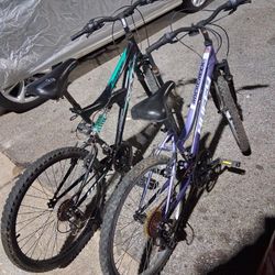 Two Bikes 