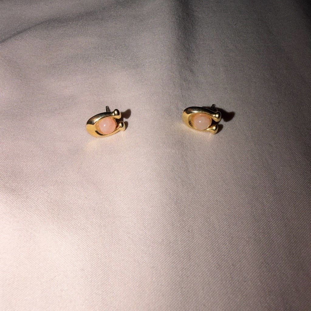 Coach earrings