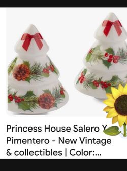 Saleros Princess House