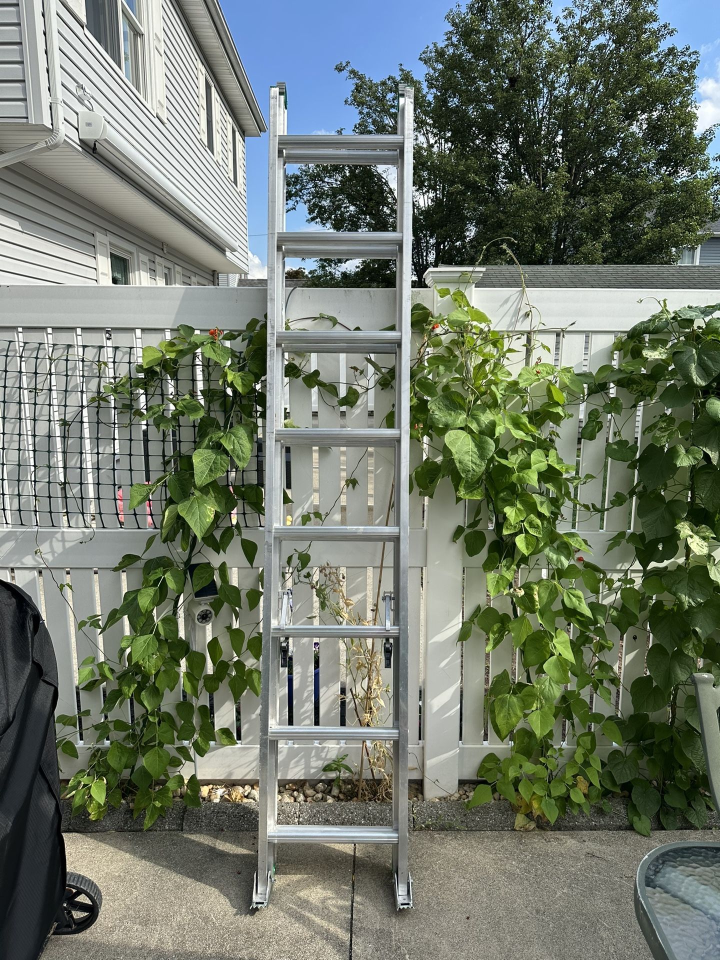 Werner 16 Foot Ladder