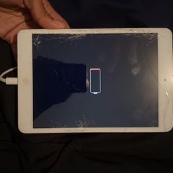 ipad mini 
